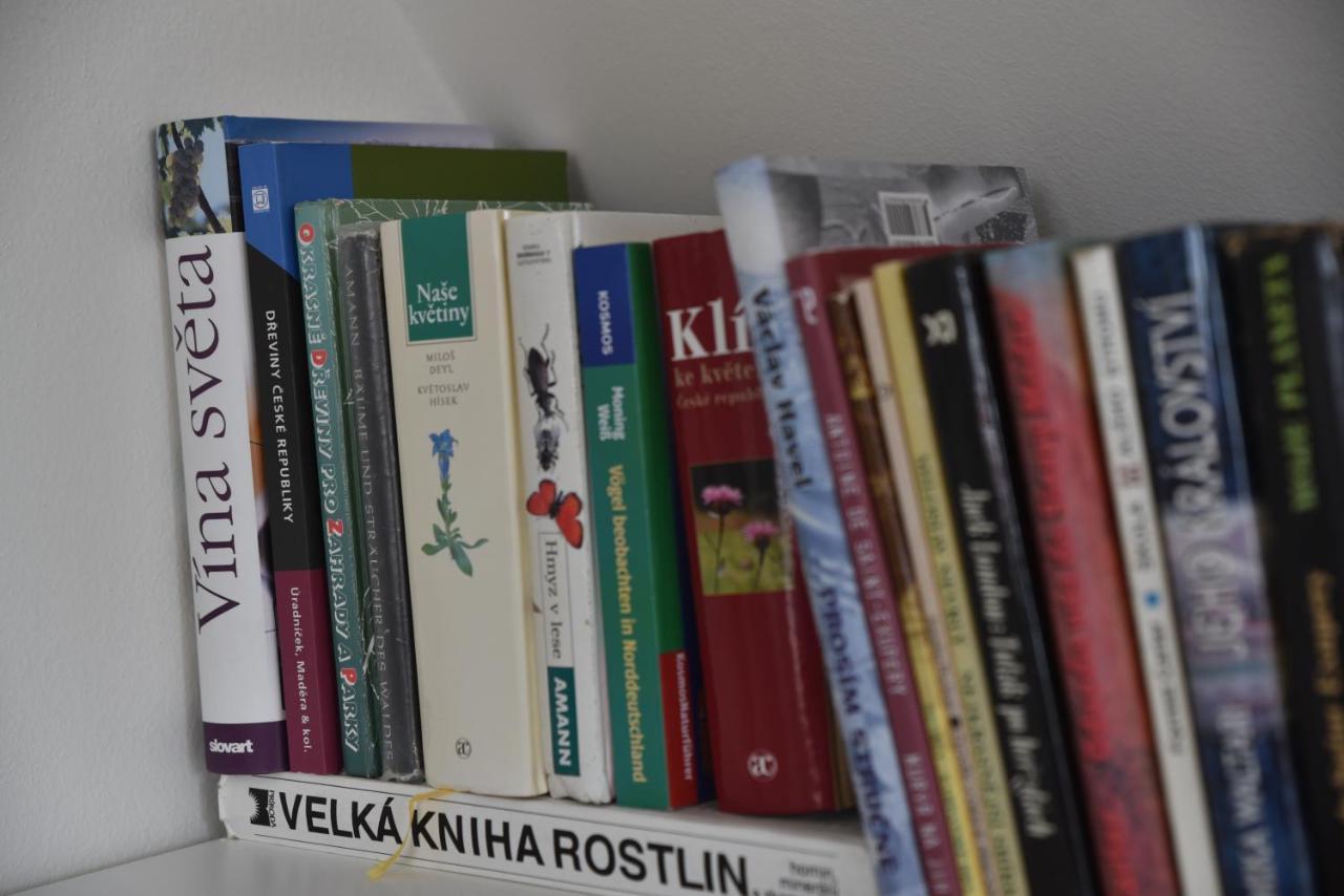 Vila Vlastovka Bulhary Kültér fotó